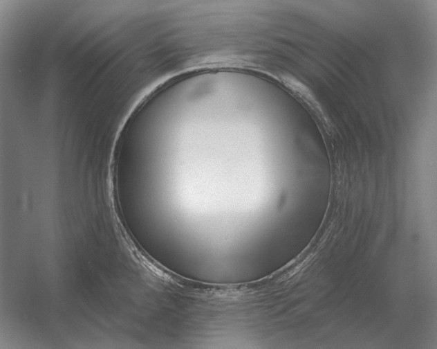 X0000054361288200508191810