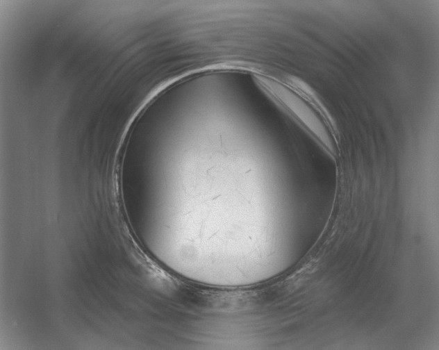 X0000054361292200508191810