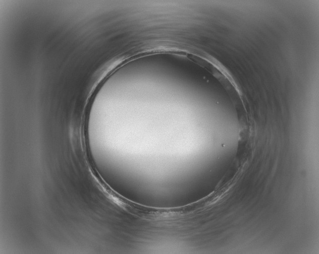 X0000054361293200508191809