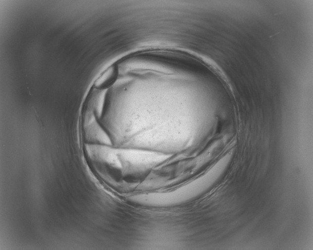 X0000054361295200508191809