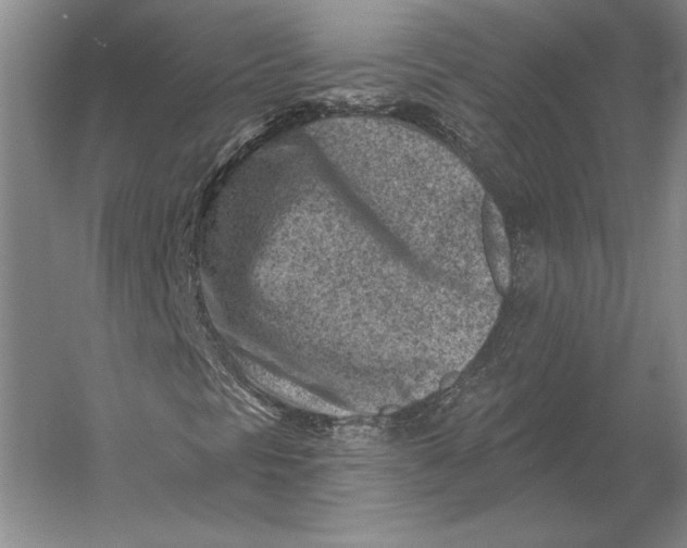 X0000054361297200508191809