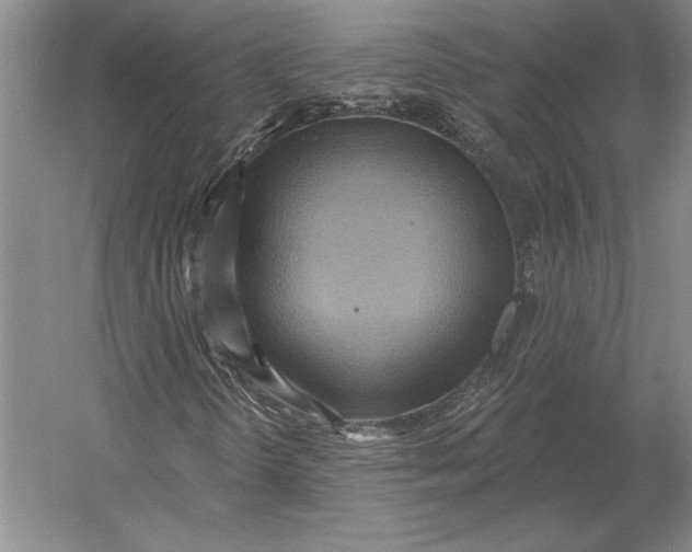 X0000054361298200508191809