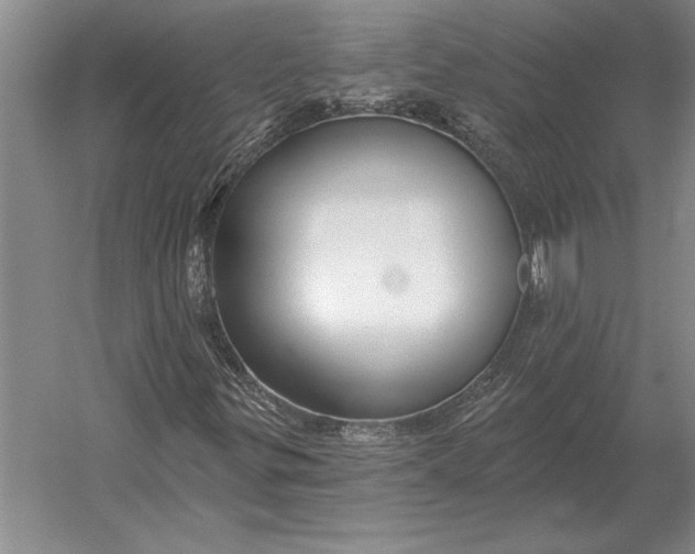 X0000054361299200508191809