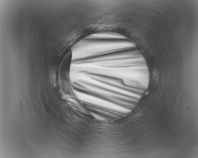 X0000054361300200508191809