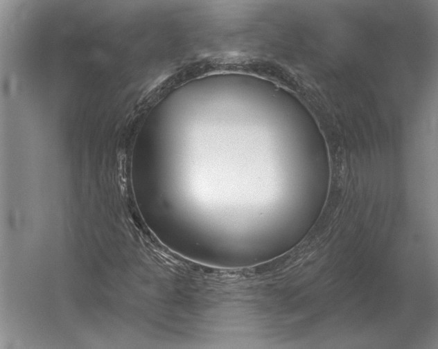 X0000054361301200508191809