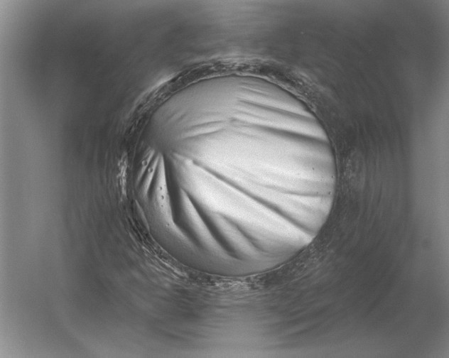 X0000054361302200508191809