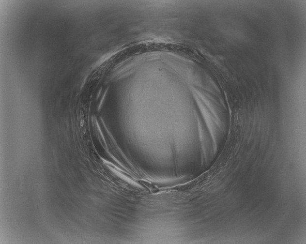 X0000054361303200508191809