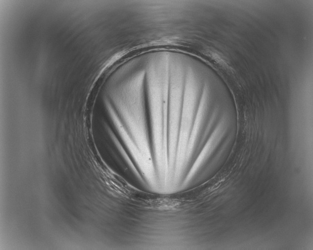 X0000054361308200508191809