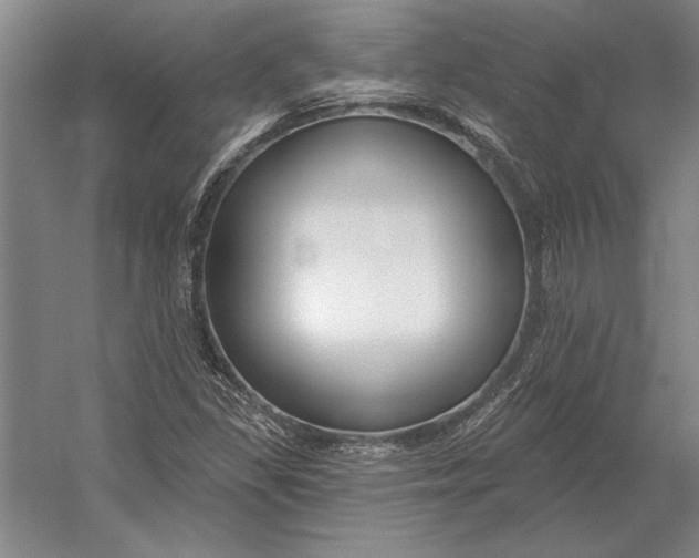X0000054361309200508191809