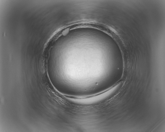 X0000054361310200508191809