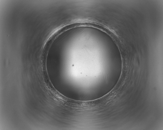 X0000054361311200508191809