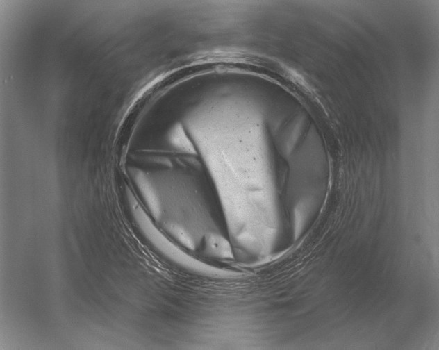 X0000054361312200508191809
