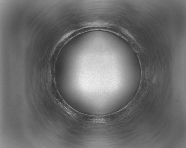 X0000054361315200508191809