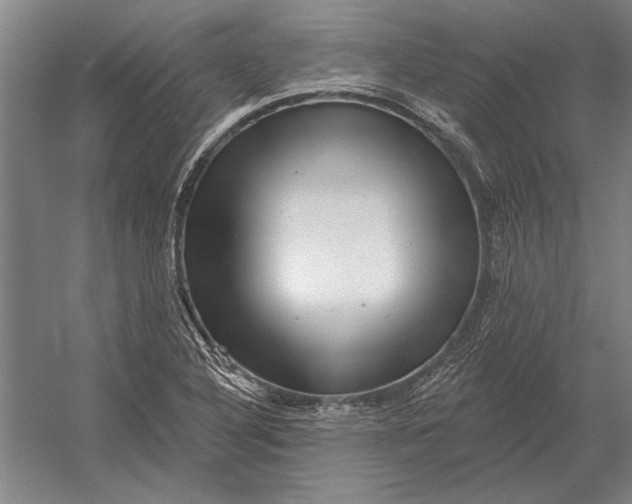 X0000054361316200508191809