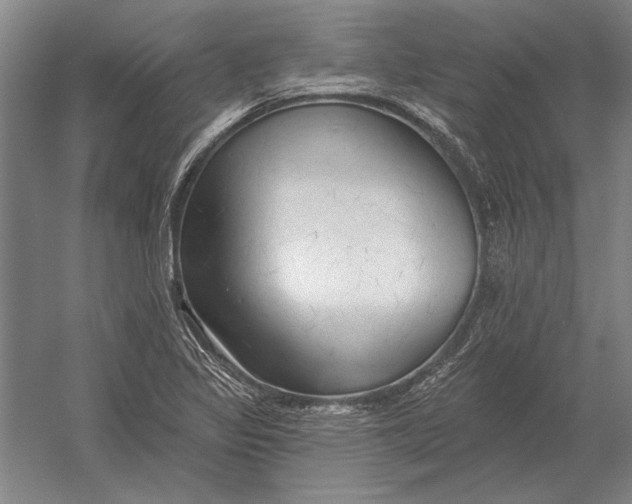 X0000054361317200508191809