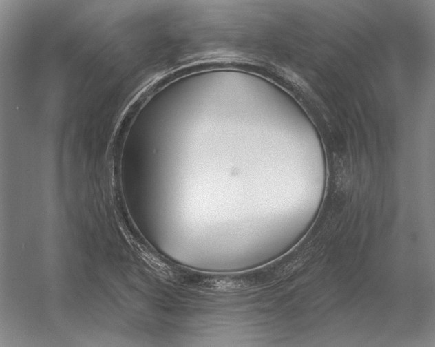 X0000054361318200508191809
