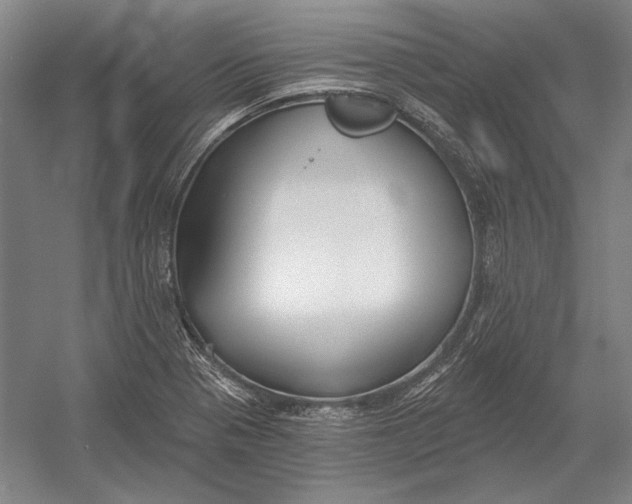 X0000054361321200508191809