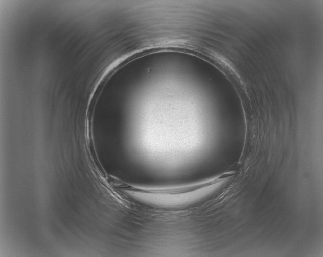 X0000054361324200508191809