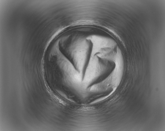 X0000054361325200508191809