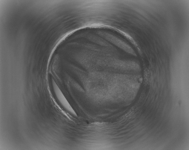 X0000054361327200508191809