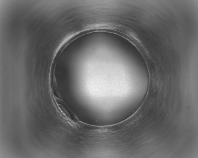 X0000054361328200508191809