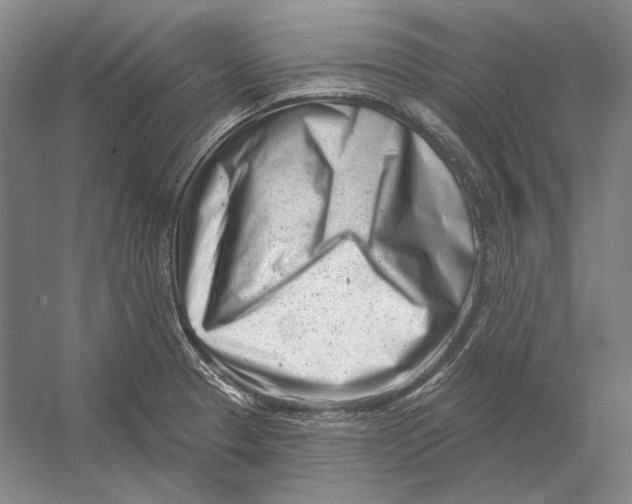 X0000054361329200508191809