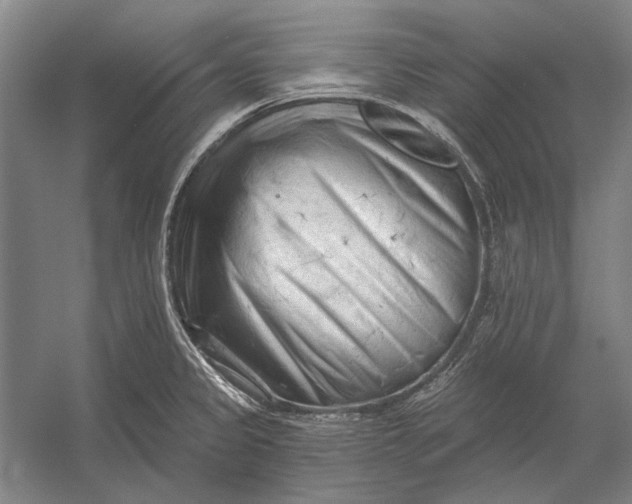 X0000054361333200508191809