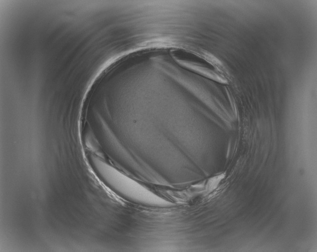 X0000054361334200508191809