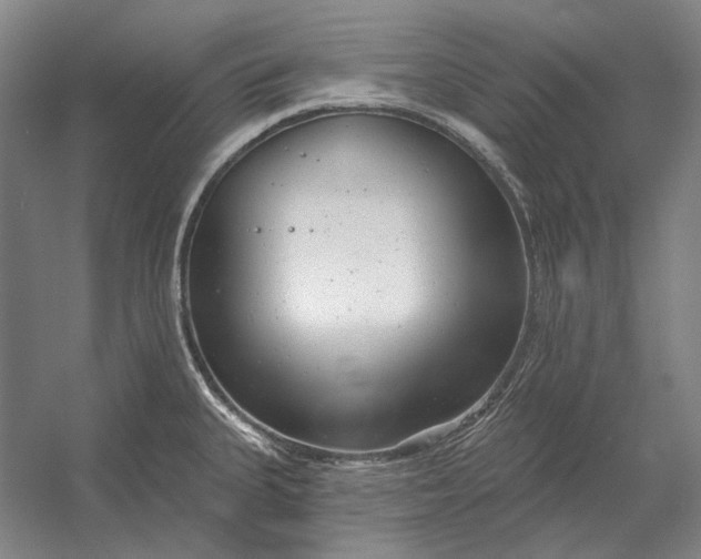 X0000054361335200508191809
