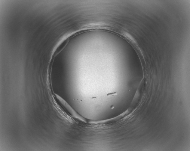 X0000054361336200508191809