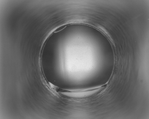 X0000054361340200508191809