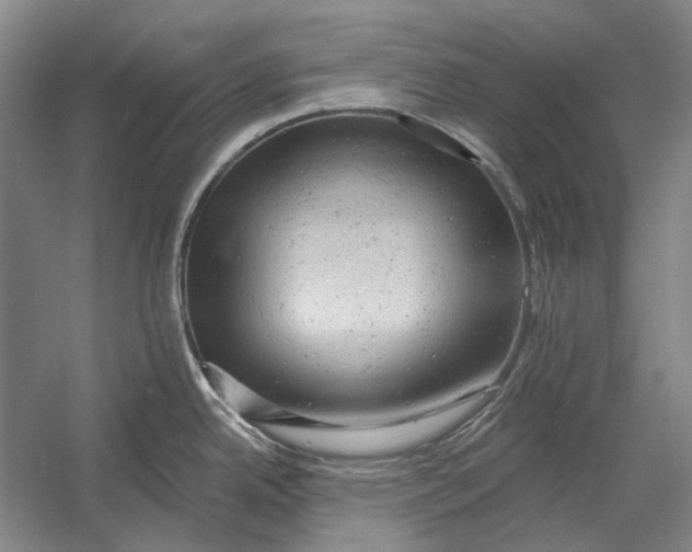 X0000054361342200508191809