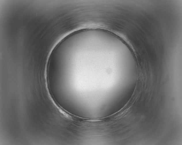 X0000054361343200508191809
