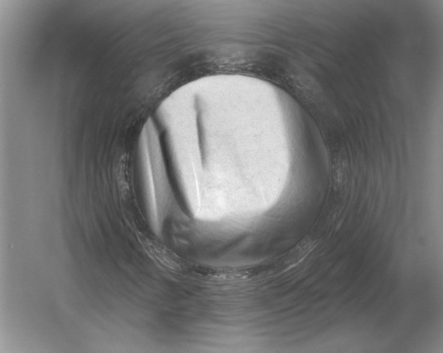 X0000054361346200508191809