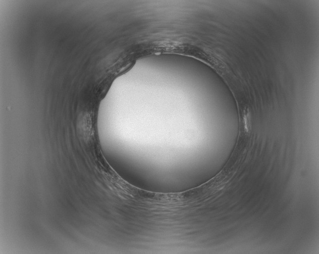 X0000054361347200508191809