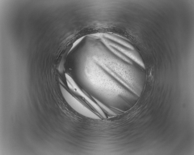 X0000054361348200508191809