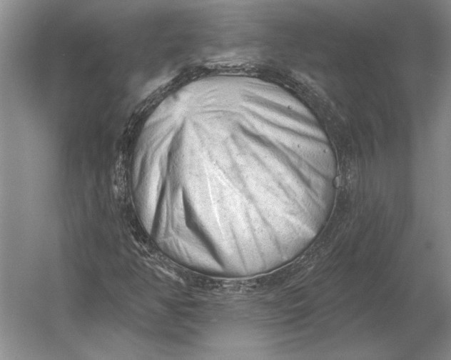 X0000054361350200508191809