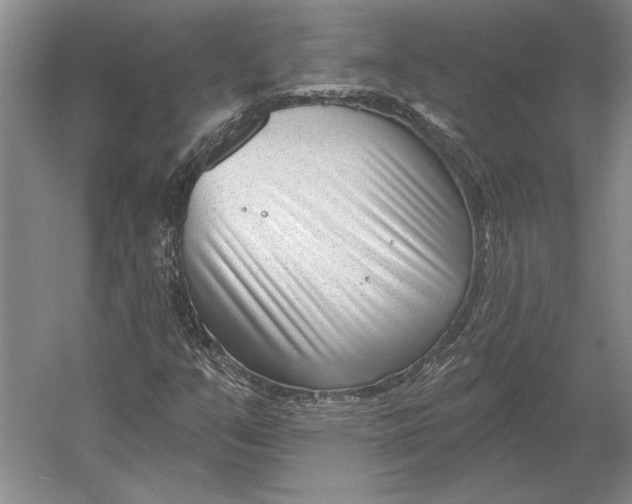 X0000054361351200508191808