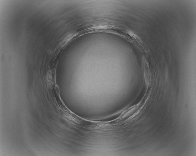 X0000054361353200508191808