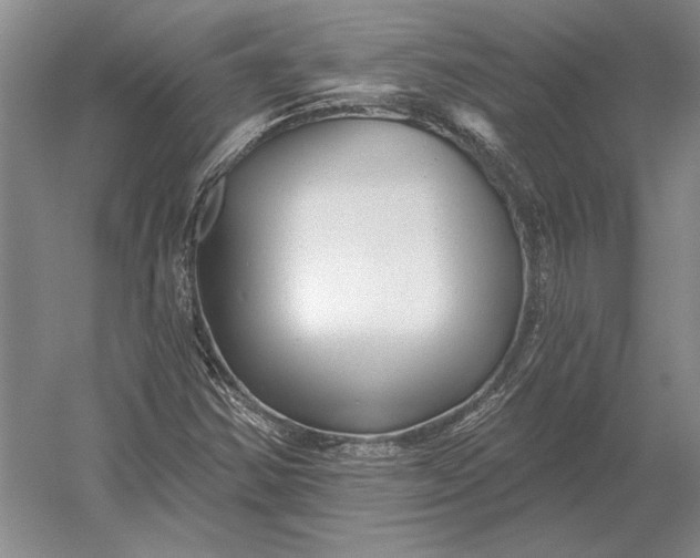 X0000054361354200508191808