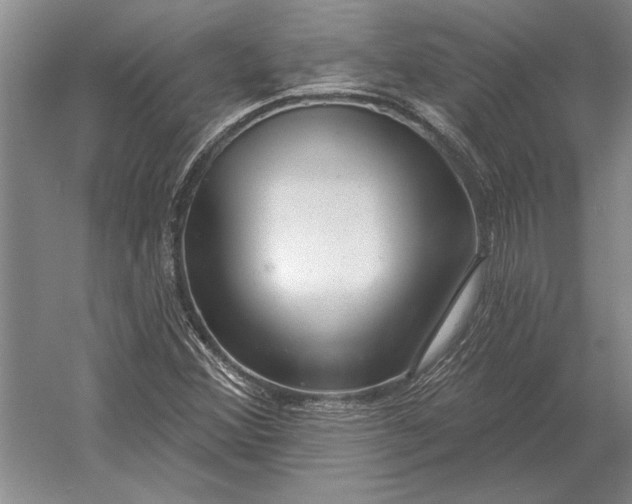 X0000054361356200508191808