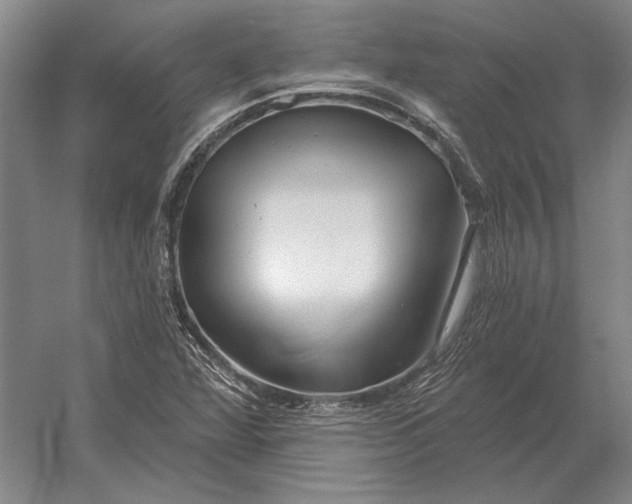 X0000054361360200508191808