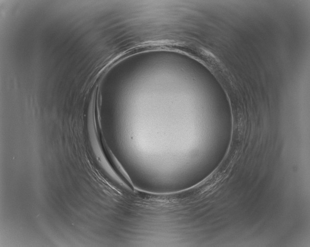 X0000054361361200508191808
