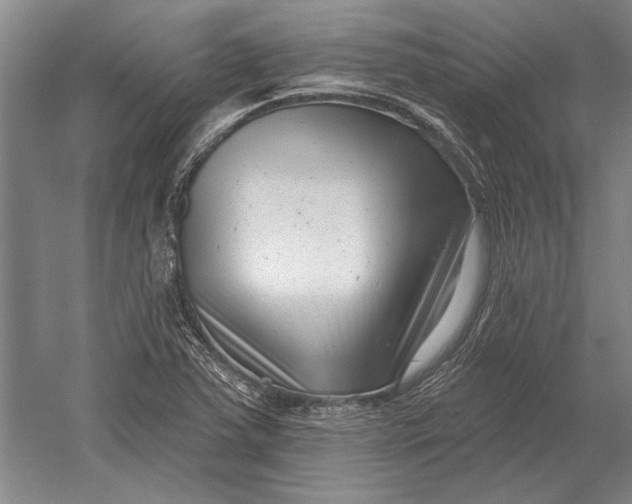 X0000054361363200508191808