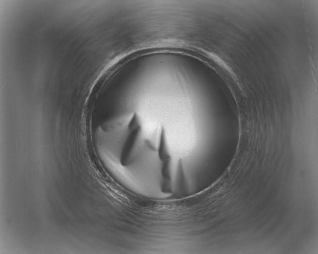 X0000054361364200508191808