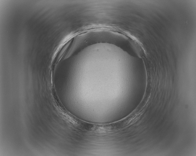 X0000054361365200508191808