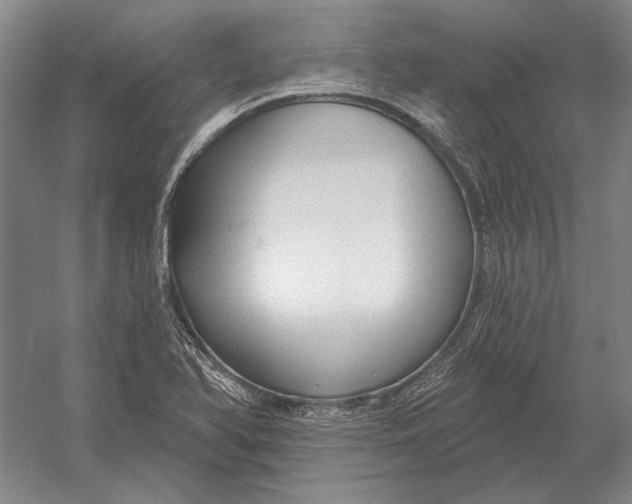 X0000054361366200508191808