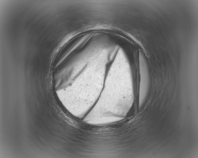 X0000054361367200508191808