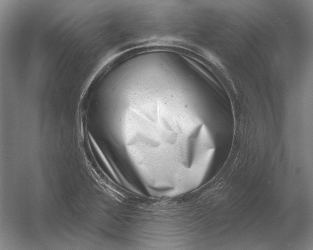 X0000054361368200508191808