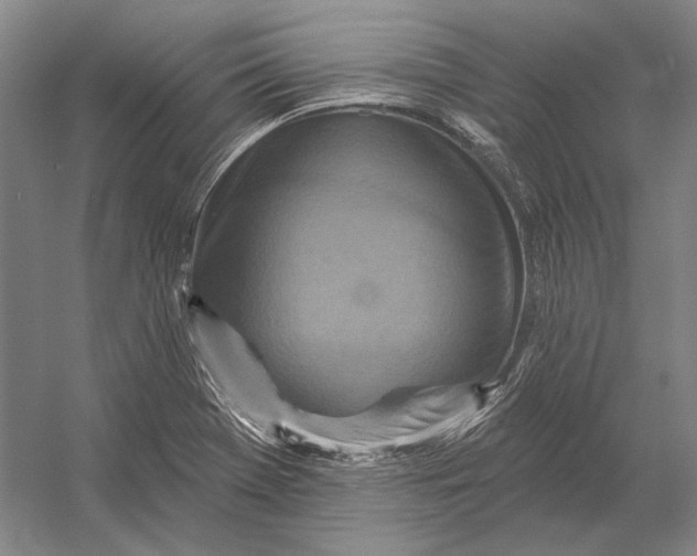 X0000054361369200508191808